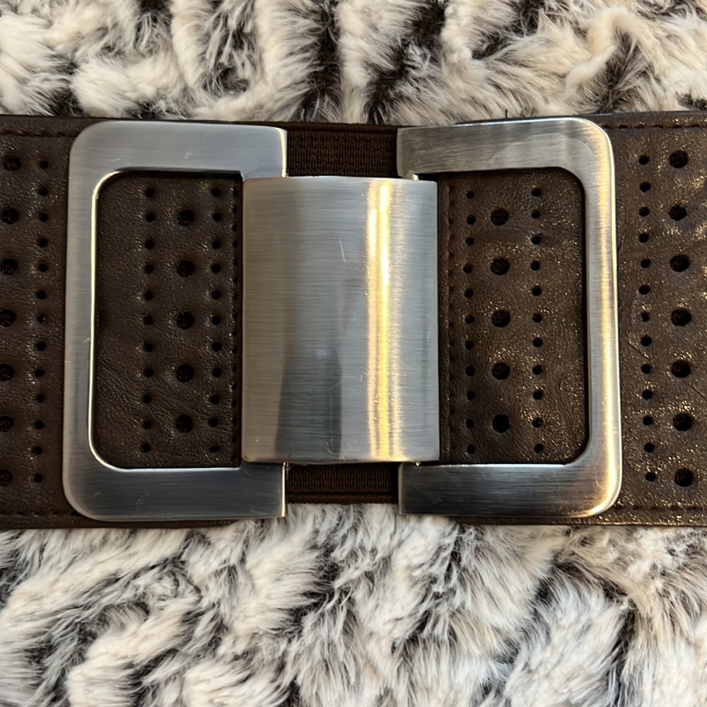 Wide Brown Elastic Waist Cinch Belt with interlocking platinum buckle